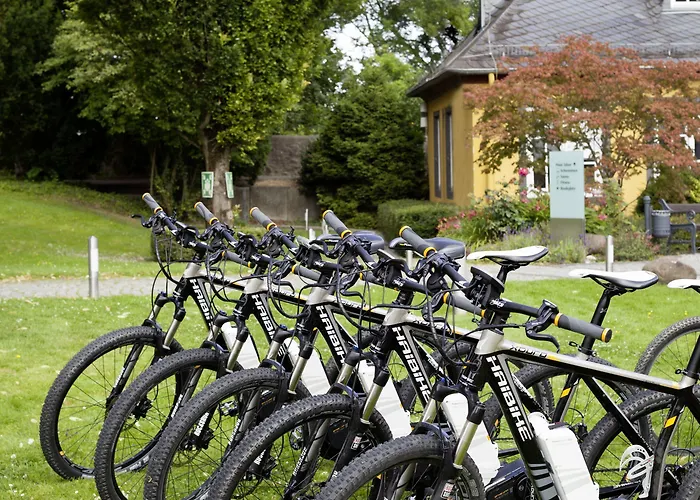 Hotel Schloss Montabaur